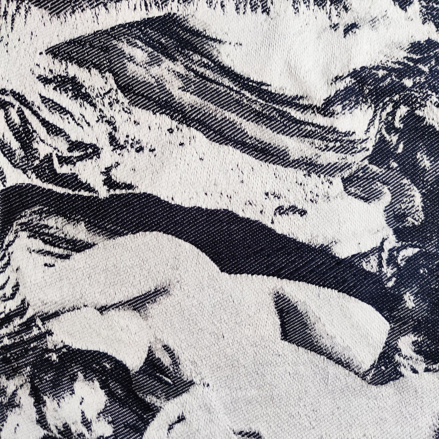 Wavefield