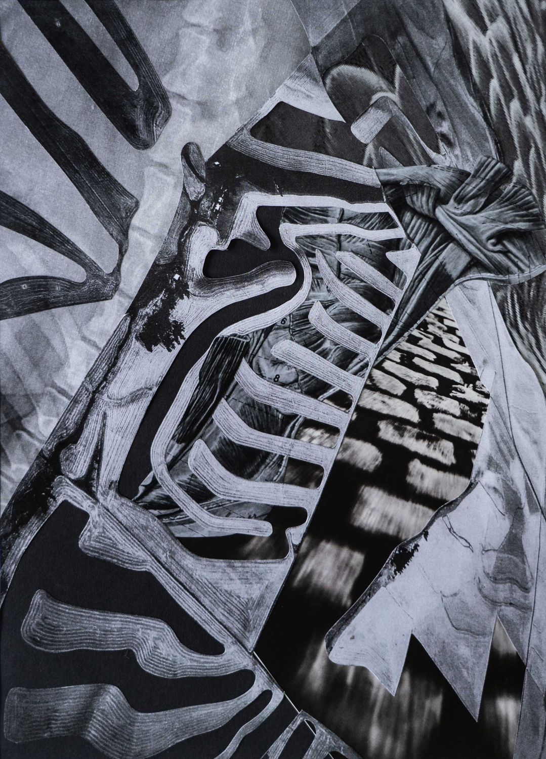 Collage study for Aerial Anatomy
