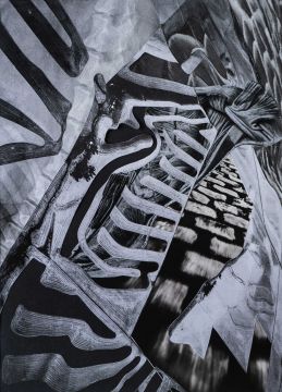 Collage study for Aerial Anatomy